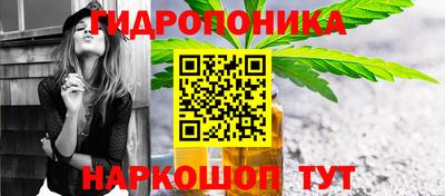 трава Пугачёв
