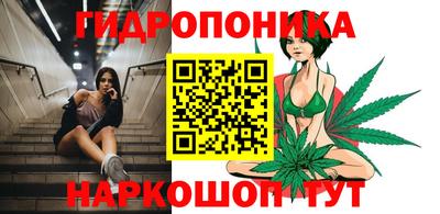 трава Пугачёв
